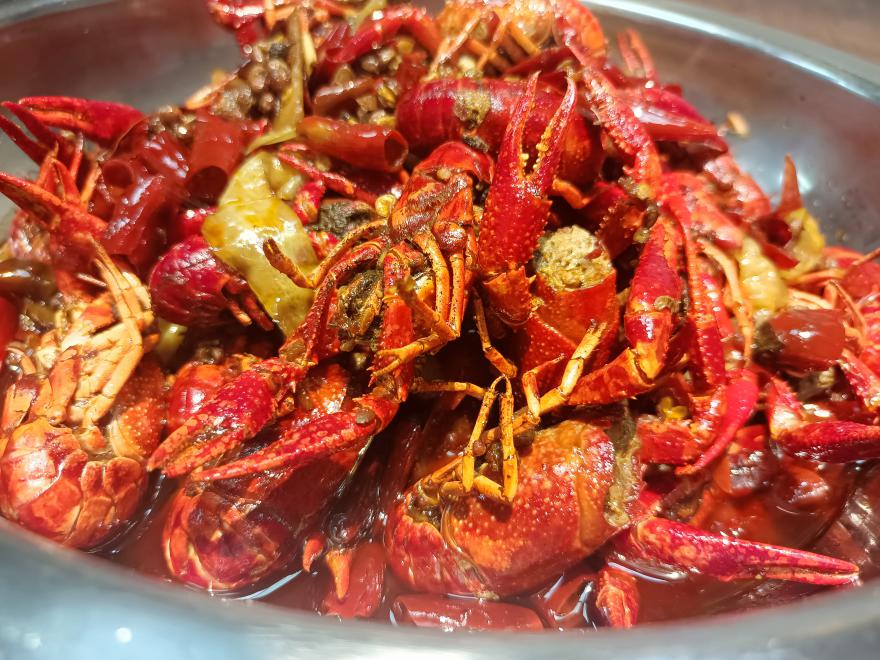 20251113120237815581.jpg 20251113120237815581.jpg